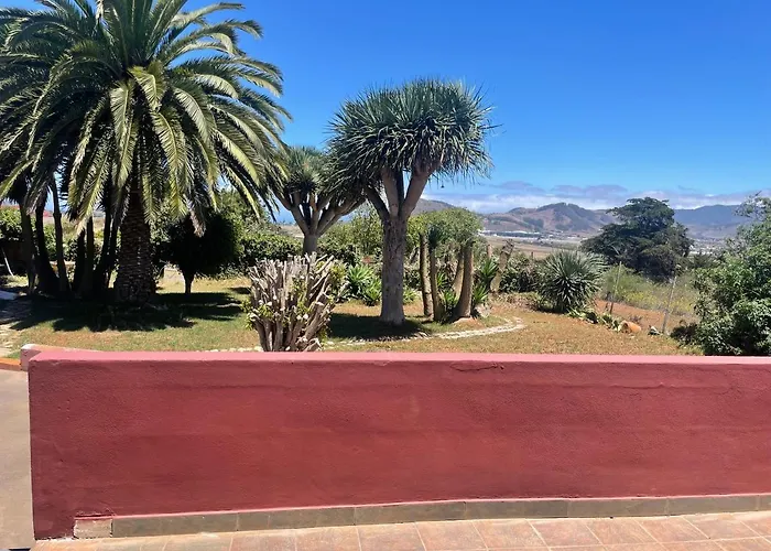 La Catata La Laguna (Tenerife)